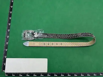 BB Belts #3 QC photo
