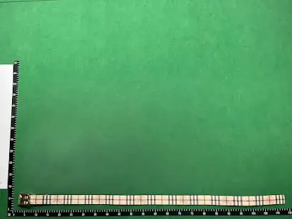 Burberry Belt (33 Variants) QC photo