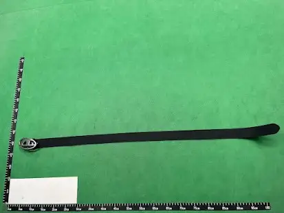 Diesel Belt QC photo