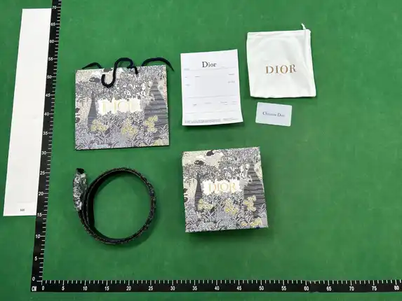 Dior Belts (8 Variants) QC photo