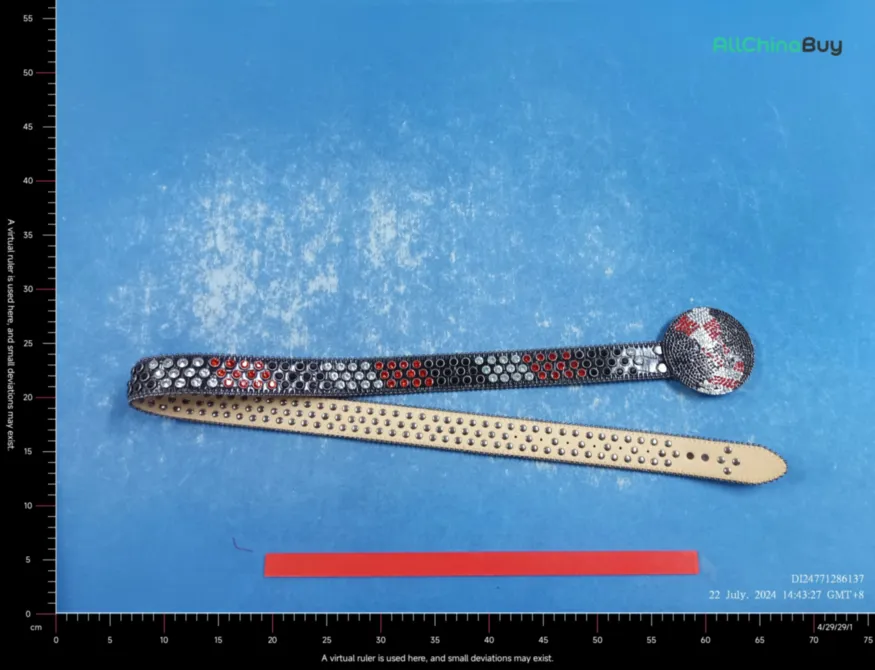 Globe BB Belts QC photo