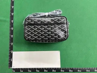Goyard Bag QC photo