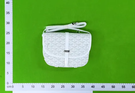 Goyard Messenger Bag (8 Variants) QC photo