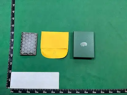 Goyard Passport Holder QC photo