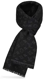 Louis Vuitton Scarf product photo