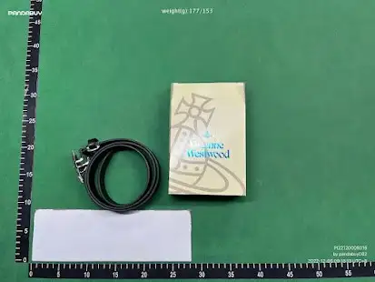 Vivienne Westwood Belt QC photo