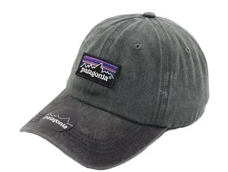 Patagonia Caps (18 Variants) product photo