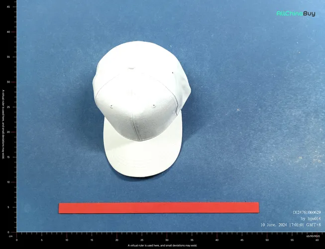 Unbranded Blank Caps (5 Variants) QC photo