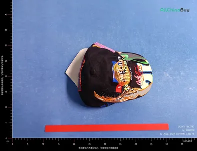 Vetements Error 404 Caps QC photo