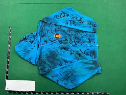 Balenciaga Skater Zip-Up Hoodie Blue QC photo