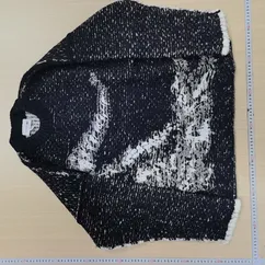 Lacoste Javier Knit Sweater QC photo