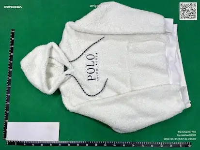 Polo Ralph Lauren Fleece Hoodies (7 Variants) QC photo