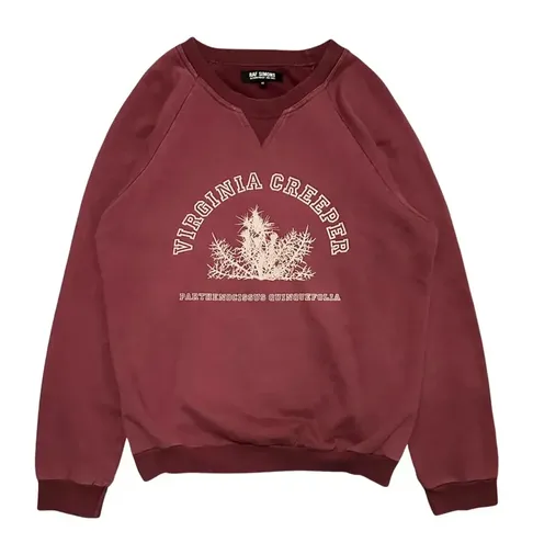 RAF Simons Virginia Creeper Red Sweater product photo