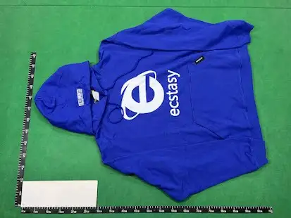 Vetements Ecstasy Hoodie Blue QC photo