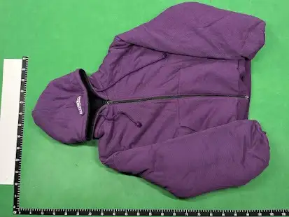 Vetements TFD/EIGC Reversible Oversized Purple Hoodie QC photo