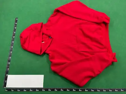 Yeezy GAP Hoodie QC photo