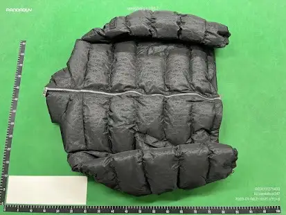 Dior Oblique Down Jacket QC photo