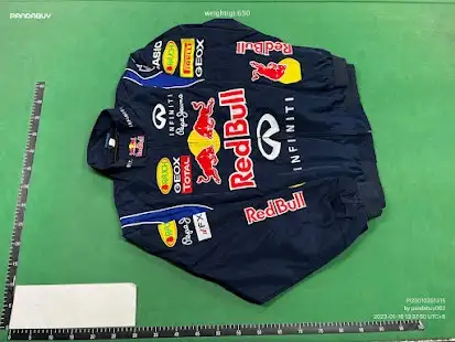 F1 Red Bull Jacket QC photo