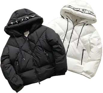 Moncler Estom Down Jacket product photo