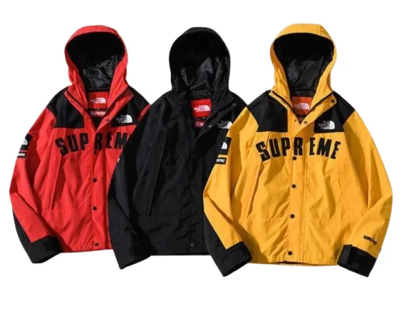 Supreme x The North Face Arc Logo Mountain Parka SS19 product photo