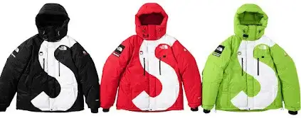 Supreme x North Face S Logo Summit Series Himalayan Parka product photo