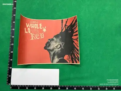 Playboi Carti Posters QC photo