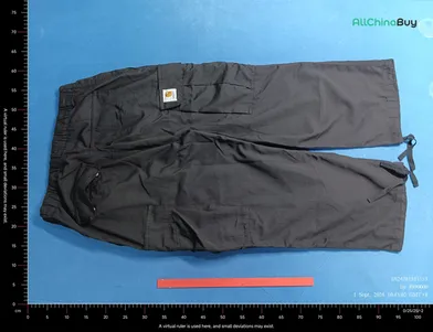 Carhartt Baggy Cargo Pants QC photo