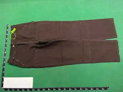 Carhartt Carpenter Pants Brown QC photo