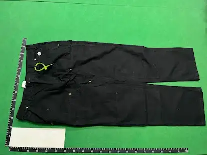 Carhartt Carpenter Pants QC photo