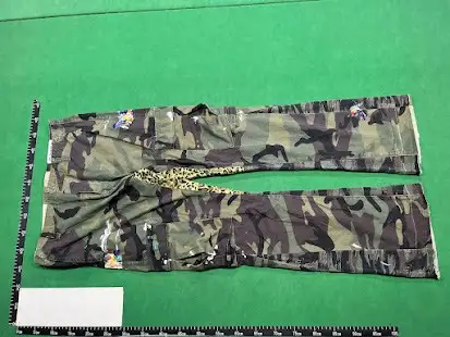 Gallery Dept. LA Camo Flare Pants QC photo