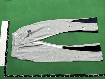 More Gallery Dept Pants (34 Variants) QC photo