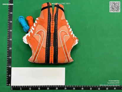 Dunk Low Concepts Orange Lobster QC photo