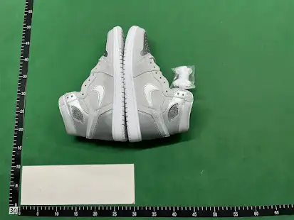 Jordan 1 Retro High CO Japan Neutral Grey (2020) QC photo