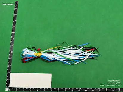 Shoelaces QC photo