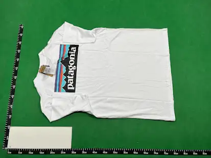 Patagonia Tee (18 Variants) QC photo