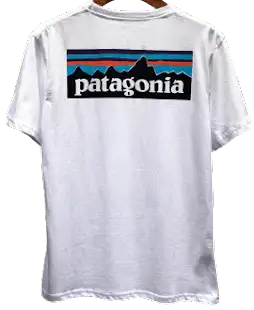 Patagonia Tee (18 Variants) product photo
