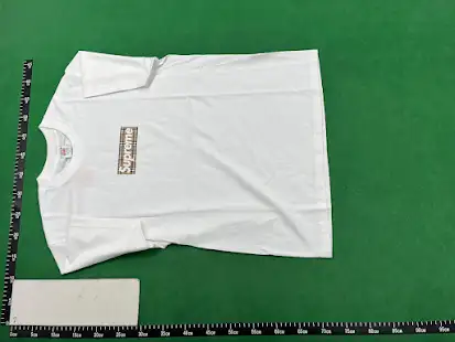 Supreme X Burberry Box Logo Tee QC photo